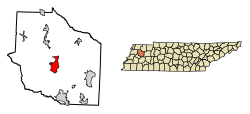 Location of Trenton in Gibson County, Tennessee.