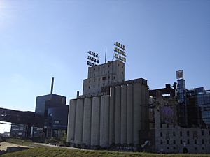 Gold medal flour factory