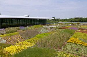 Green Roof Garden wiki