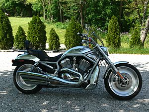 Harley 5-06