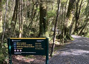 Lake Matheson 2 MRD 04