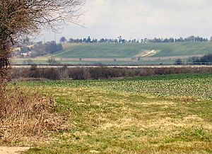 Lenham Cross