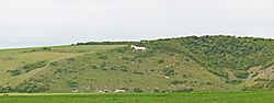 Littlington Horse, East Sussex, England - May 2009