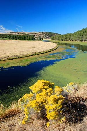 Lost River (Klamath County, Oregon scenic images) (klaDA0056).jpg