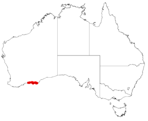 Macrozamia dyeri Dist Map6.png