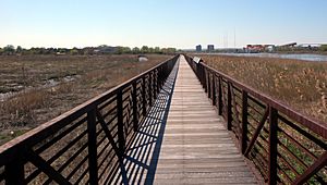 Mill Creek Point boardwalk jeh