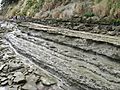 Mudstone sandstone layers