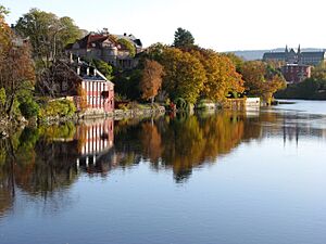 Nidelva-Trondheim-foliage