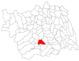 Location in Bacău County