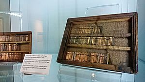 Oxford University Press Museum (31175477990)