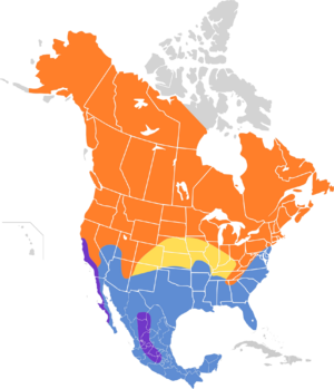 Passerculus sandwichensis map.svg