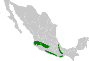 Pipilo ocai map.svg