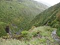 Rimutaka Incline 06