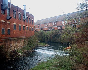 River Sheaf - Highfield 25-04-06.jpg