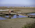 San Francisco Bay National Wildlife Refuge