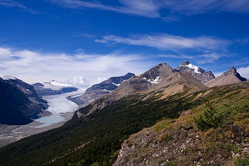 Saskatchewan Glacier Alberta Canada