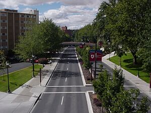 Stadium Way - panoramio