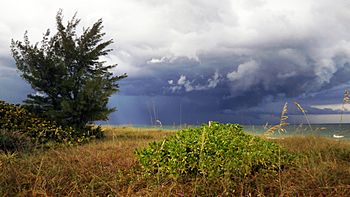 StuartHutchinsonIsland-stormoats023.jpg