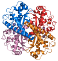 Superoxide dismutase 2 PDB 1VAR