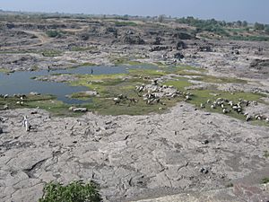 The Godavari river at Puntamba in January