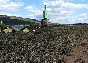 The Lang Dyke (geograph 1940903)