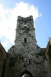 Timoleague Friary Belltower