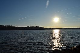 Waters of Lake Bowen.jpg