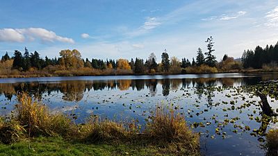 2017 Larsen Lake image1