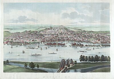 Albany Lithograph 1850s