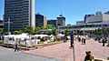 Aotea Square Occupied