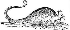 Basilisk aldrovandi.jpg