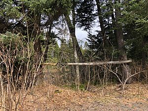 A saddle on a hitching post in Bear Creek CDP