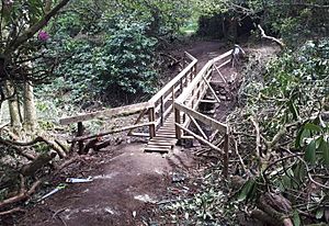 Bridge near the Castle Edwards