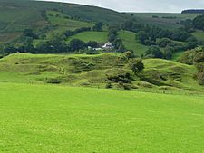 Bryn Amlwyg Castle.jpg