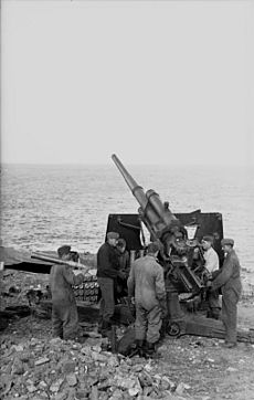 Bundesarchiv Bild 101I-258-1324-18, Südfrankreich, Flak-Stellung an Küste