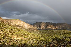 Canyon Lake Rainbow