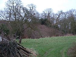 Castle at New Buckenham, Norfolk. - geograph.org.uk - 150554.jpg