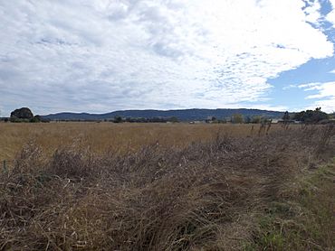 Farms and Little Liverpool Range Ashwell Queensland.jpg