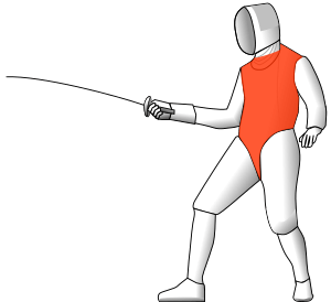 Fencing foil valid surfaces 2009