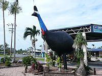 Giant Cassowary at Mission Beach.jpg