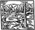 Hunt16thC