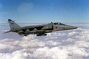 Jaguar GR3 6Sqn RAF 2000