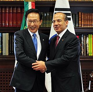 KOCIS Korea-Mexico summit (4762596485)