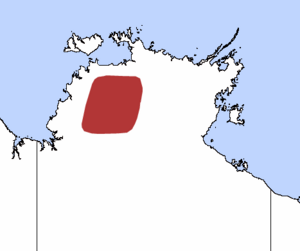 Kakadu Dunnart.png