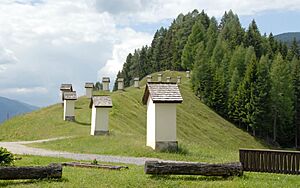 Koetschach Strajach Kreuzweg 23052007 01