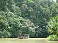 Loboc River