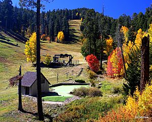 MT LEMMON SKI VALLEY