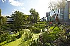 Mill pond at Anglia Ruskin University, Chelmsford campus.jpg