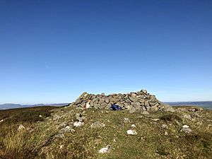 Moel fferna