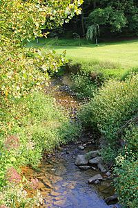 Mouse Creek looking upstream.JPG